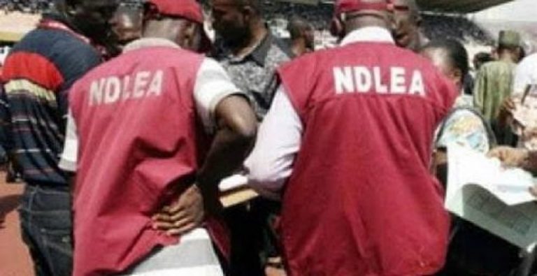 NDLEA Awards Army Officer Fighting Drug Traffickers In Benue