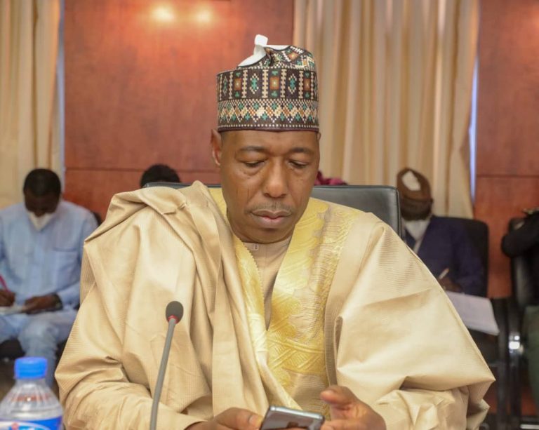 Naira shortage: Zulum warns banks in Borno, poses threat to land allocation