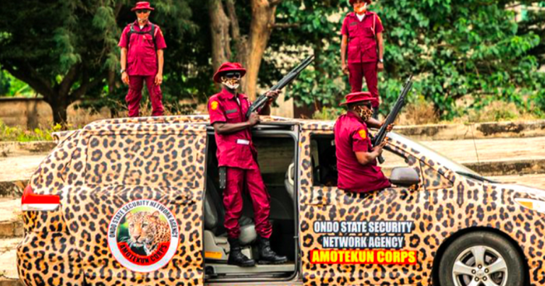 Amotekun detains two minors in Osun for breaking into shop, stealing