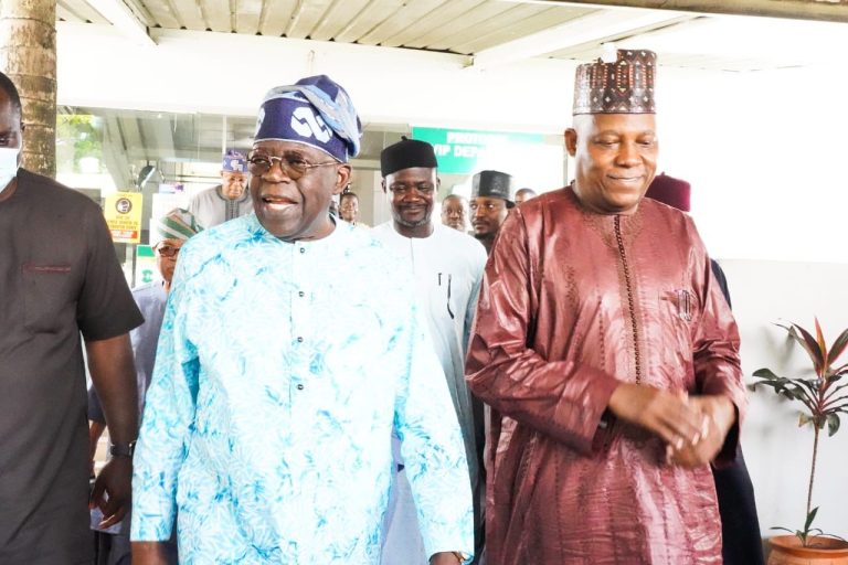 Nigerians abroad promise Tinubu, Shettima technical support