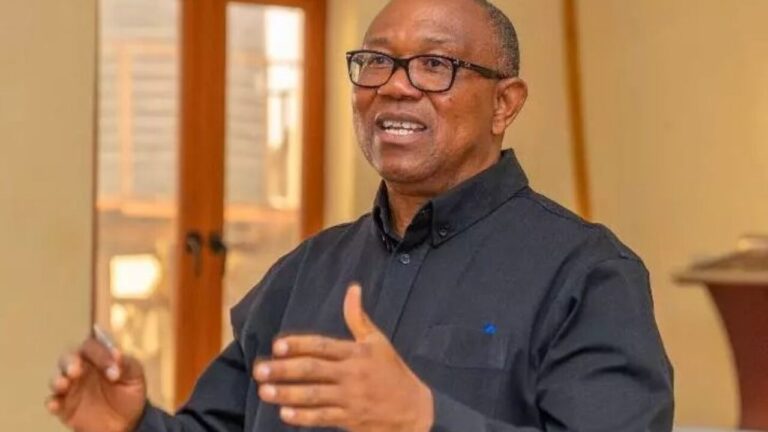 I support elimination of oil subsidy after working out the statistics – Obi – Obi