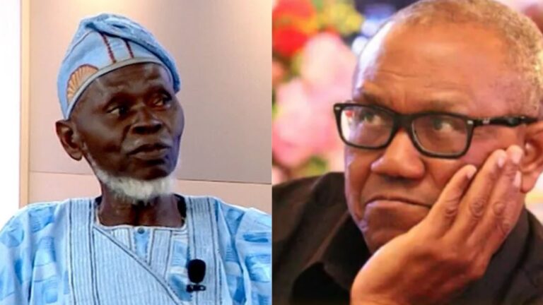 Withdraw your petition against Tinubu, Apapa LP faction tells Obi
