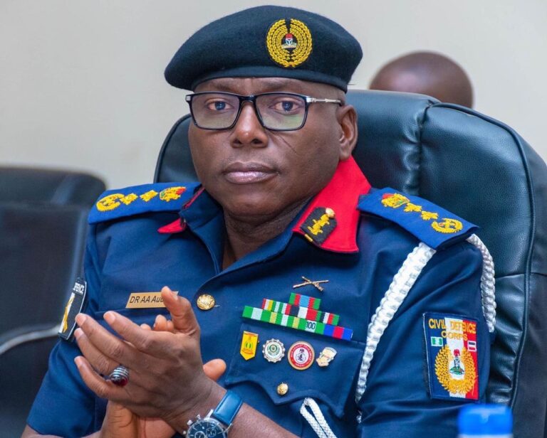 NSCDC promises to put an end to criminal activity in Niger State