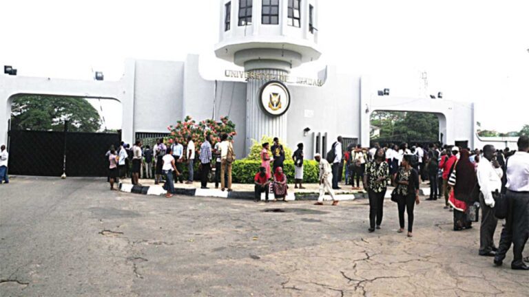 UI receives N1b for a diaspora research center