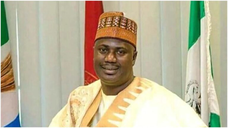 Minister promises to carry out Tinubu’s program for agricultural reform