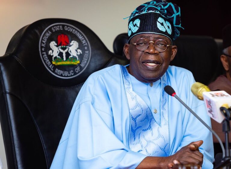 Tinubu promises that the Nigerian economy will bounce back soon