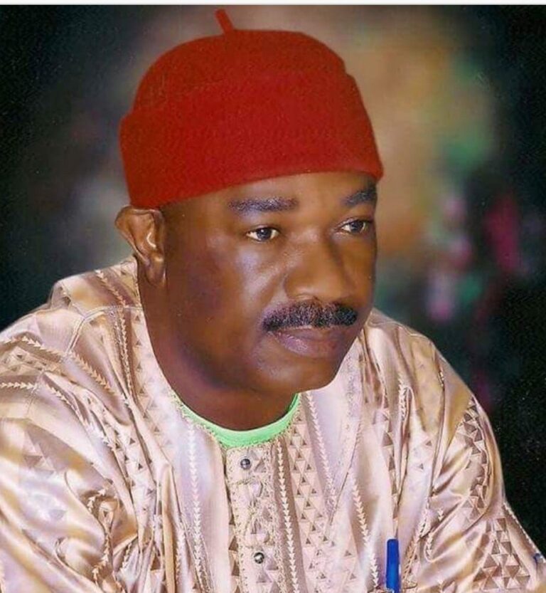 Kano gov’s sacking shocking, says NNPP founder