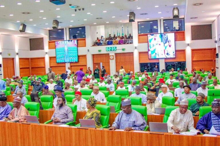 Service Chiefs, IGP appear before Reps for sectoral debate on closed-door security