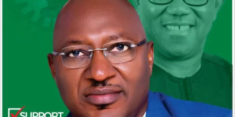 Reps Seat: Appeal Court fires Cornelius Nnaji, upholds election of LP’s Nnamchi
