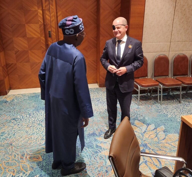 President Tinubu, German Chancellor talk about investment on power, rail