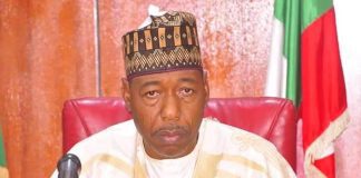 100,000 Nigerians return from Niger in seven years – Zulum