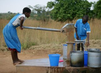 APWEN urges govt to address water challenges