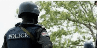 Abia police bust baby factory, rescue 16 pregnant women