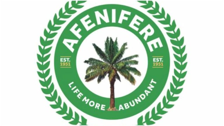 Afenifere faction proposes parliamentary gadget of presidency