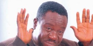 Mr Ibu