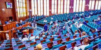 Ban importation of local fabrics, Reps urge FG