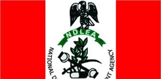 Beware of scammers posing as officers, NDLEA warns Nigerians