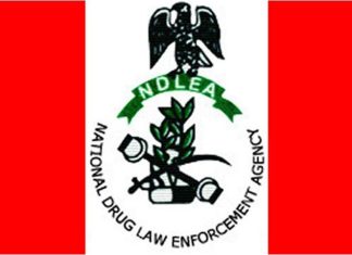 Beware of scammers posing as officers, NDLEA warns Nigerians