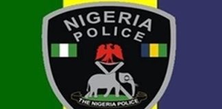 Cleaners find bag with human parts in Plateau community