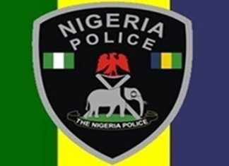 Cleaners find bag with human parts in Plateau community