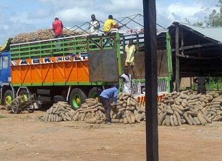 Customs release 15 trucks of seized food items 