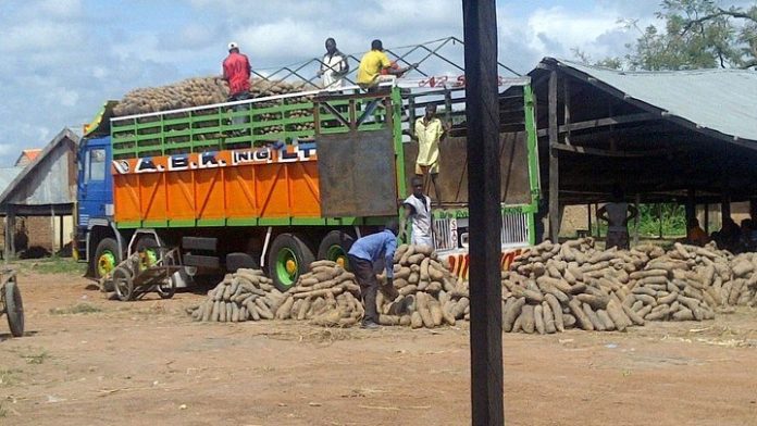 Customs release 15 trucks of seized food items 