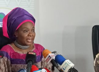 ECOWAS plans need assessment to assist IDPs, others 