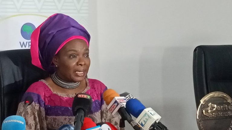 ECOWAS plans need assessment to assist IDPs, others 