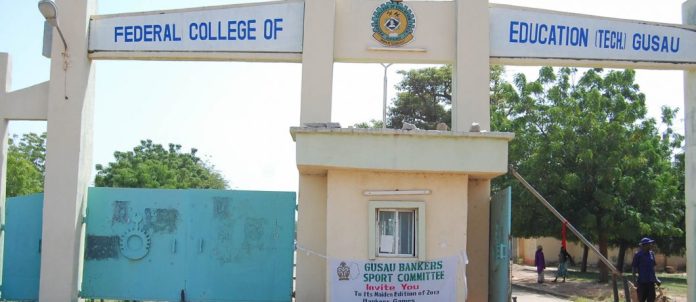 FCE Zamfara lecturers begin strike, seek provost removal