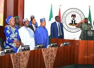 FG approves N110bn for youth development fund, agric scheme