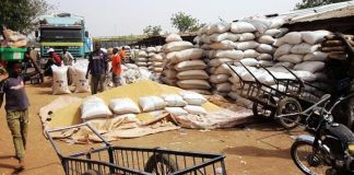 FG begins distribution of 42,000MT of grains in Northwest