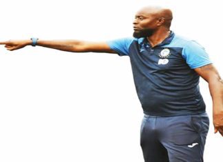 Finidi’s tactics excites Iheanacho, Dessers