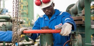 Gas will solve Nigeria’s energy challenge, says Seplat