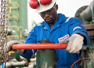 Gas will solve Nigeria’s energy challenge, says Seplat