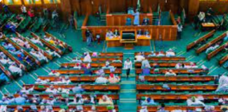 House probes N200bn spent on suspended census