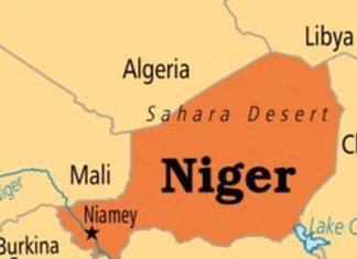 JUST IN: Niger Republic opens land border with Nigeria