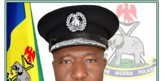 Jigawa CP decorates 17 senior officers with new ranks