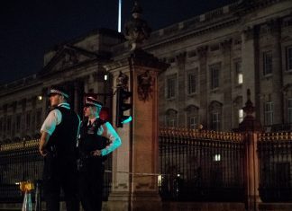 Man arrested for crashing car into Buckingham Palace gates