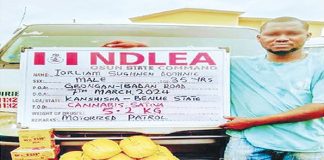 NDLEA intercepts illicit drugs hidden in bus engine