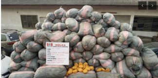 NDLEA seizes 44,948kg drugs, vehicles in Lagos, Edo, Ondo raids