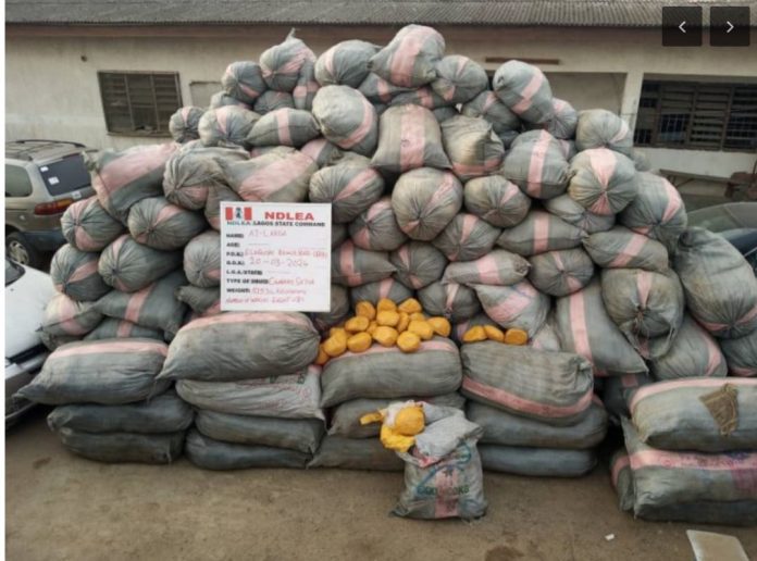 NDLEA seizes 44,948kg drugs, vehicles in Lagos, Edo, Ondo raids