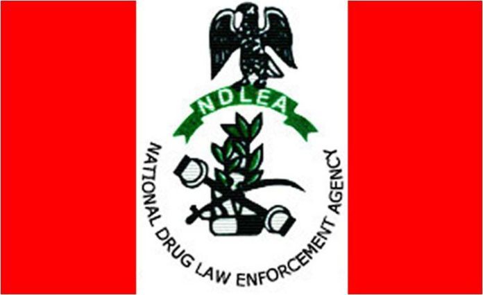 NDLEA seizes 44,948kg illicit drugs in nationwide raids