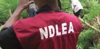 NDLEA seizes drugs concealed in vehicle engine, tyres