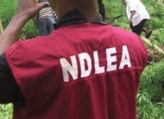 NDLEA seizes drugs concealed in vehicle engine, tyres