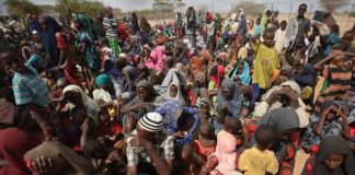 NEDC closes 90% IDP camps in Borno  