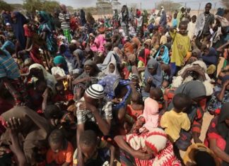 NEDC closes 90% IDP camps in Borno  