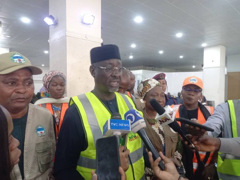 Examining Mustapha Habib’s Scorecard at NEMA – Toni Kan