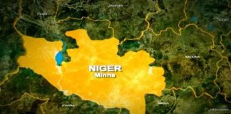 Niger man held for alleged killing of brother over property