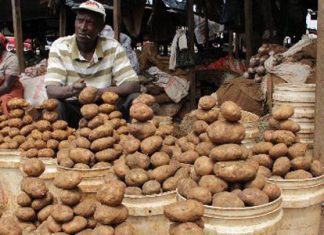 Nigerian researchers competent to help potato farmers