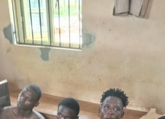 Ogun So-Safe nabs four for stealing N5m cables  